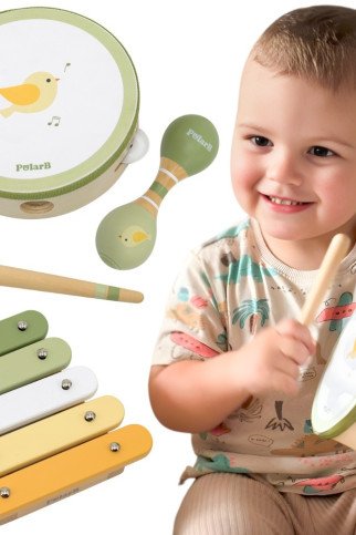 VIGA PolarB muzikos instrumentų rinkinys, žalias