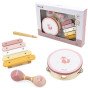 VIGA PolarB Muzikos Instrumentų Rinkinys Rožinis