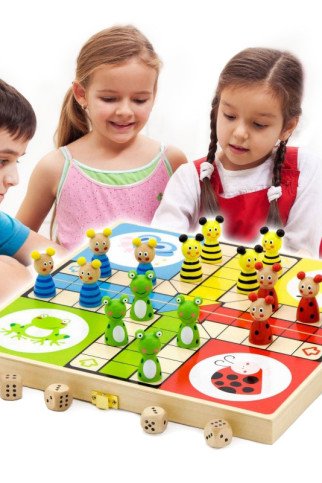 VIGA Medinis Ludo žaidimas