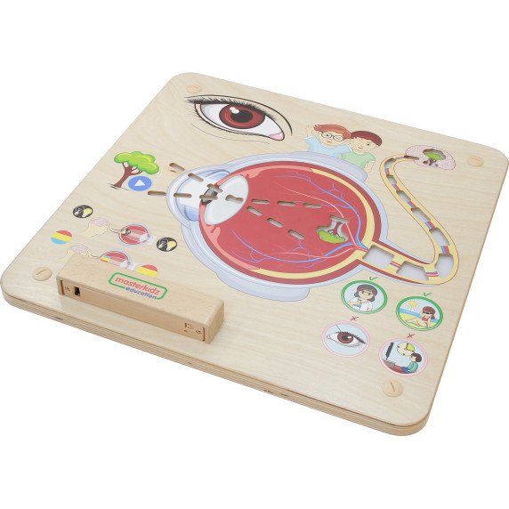 MASTERKIDZ Montessori regėjimo pažinimo lenta