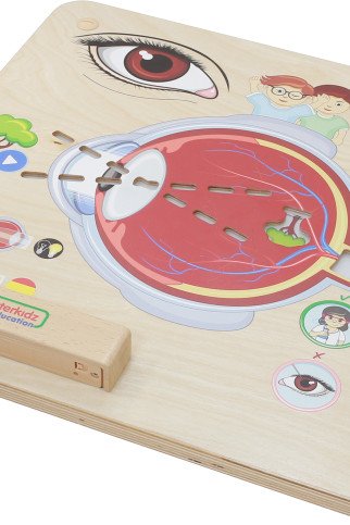 MASTERKIDZ Montessori Vaizdinės Sąmonės Mokymo Lentelė