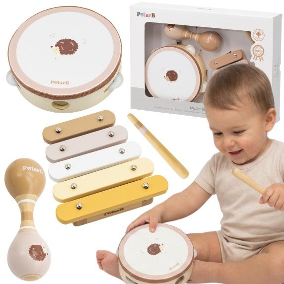VIGA PolarB muzikos instrumentų rinkinys su erinija