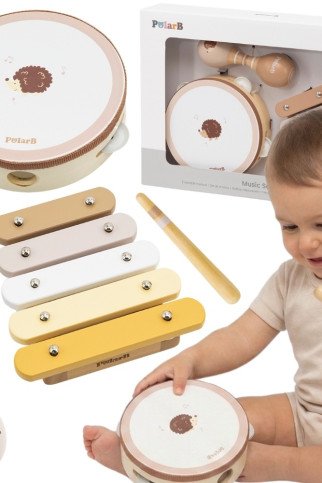 VIGA PolarB muzikos instrumentų rinkinys su erinija