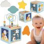 TOOKY TOY Medinis veiklos kubas Erdvės rūšiavimo labirintas