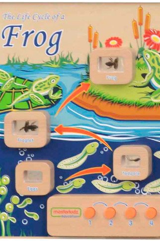 MASTERKIDZ Flex Montessori Sienos Lentos Gyvenimo ciklas su varlių MASTERKIDZ Flex Montessori Sienos Lentos Gyvenimo ciklas su varlių