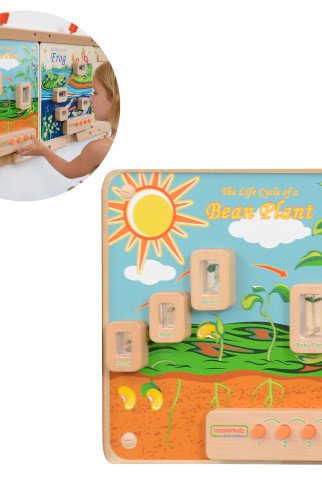 MASTERKIDZ Augalinio gyvenimo ciklo lankstus sieninis skydas MASTERKIDZ Augalinio gyvenimo ciklo lankstus sieninis skydas