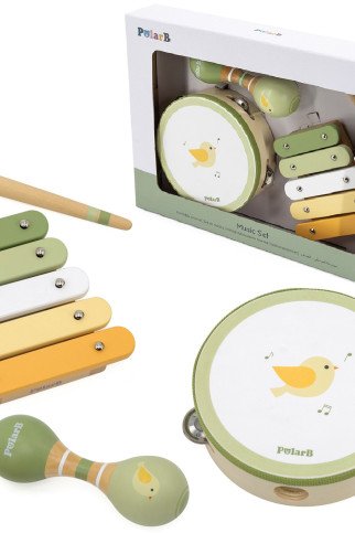 VIGA polarinės muzikos instrumentų rinkinys su paukščiu VIGA polarinės muzikos instrumentų rinkinys su paukščiu