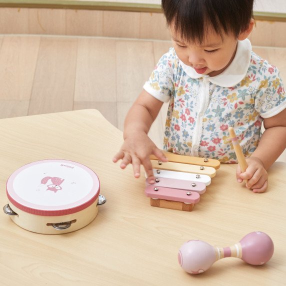 VIGA PolarB Muzikos Instrumentų Rinkinys Rožinis