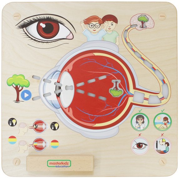 MASTERKIDZ Montessori regėjimo pažinimo lenta