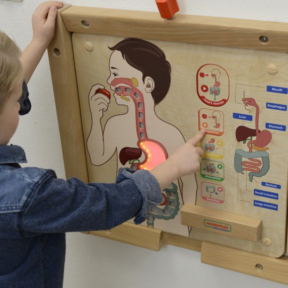 MASTERKIDZ Virškinimo sistemos pažinimo lenta