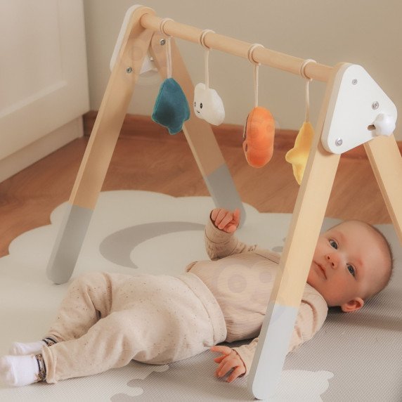 VIGA PolarB Kūdikio Gimnastikos Aparatas Infant Stand