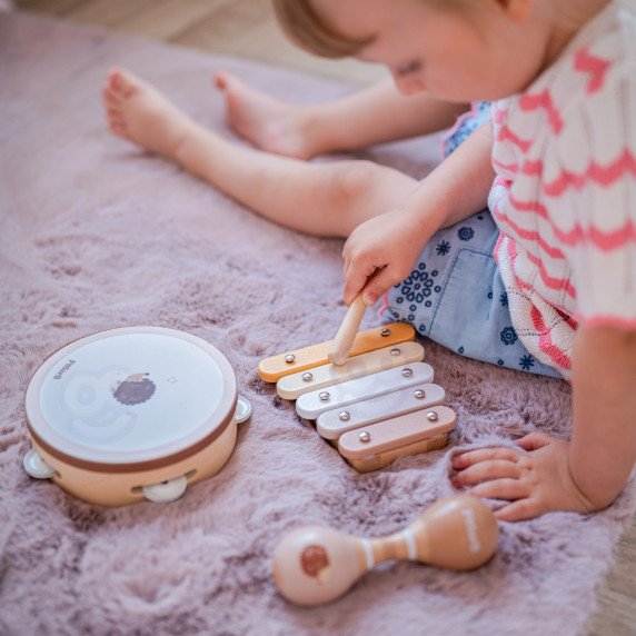 VIGA PolarB muzikos instrumentų rinkinys su erinija