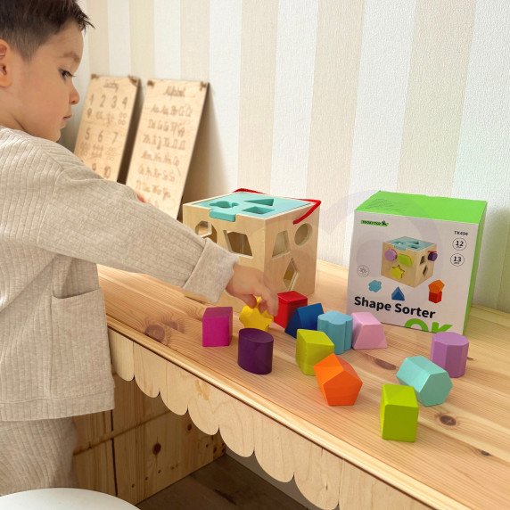 TOOKY TOY Medinis rūšiavimo kubas su spalvotais raštais 13 vnt.