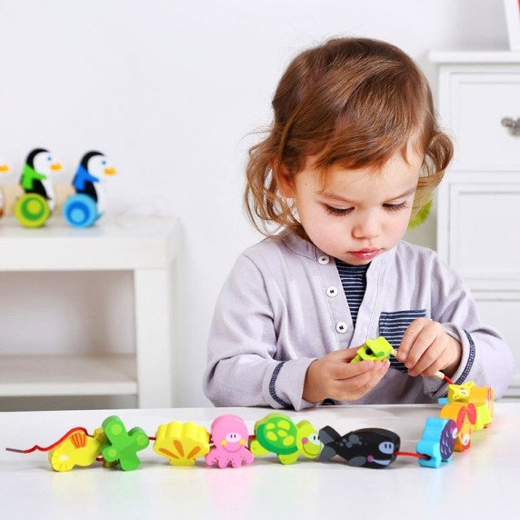 TOOKY TOY Mediniai gaminiai su vamzdžiais Jūrų gyvūnai 13 vnt.