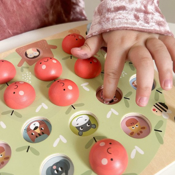TOOKY TOY Atminties Obuolys Atminties Žaidimas