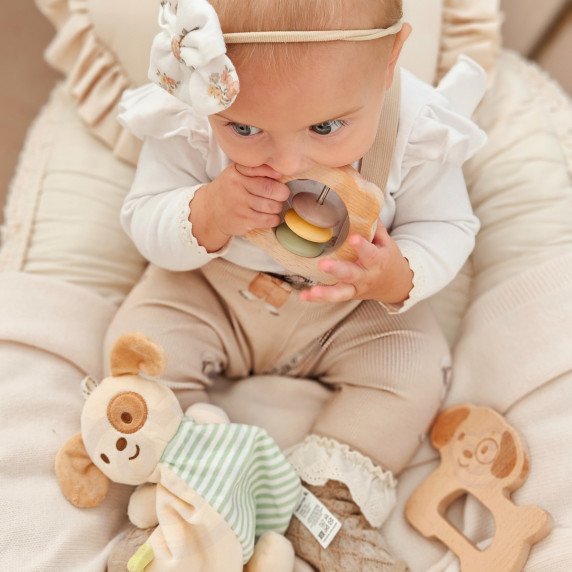 TOOKY TOY Šuniukas Ratai Dovana Rinkinys