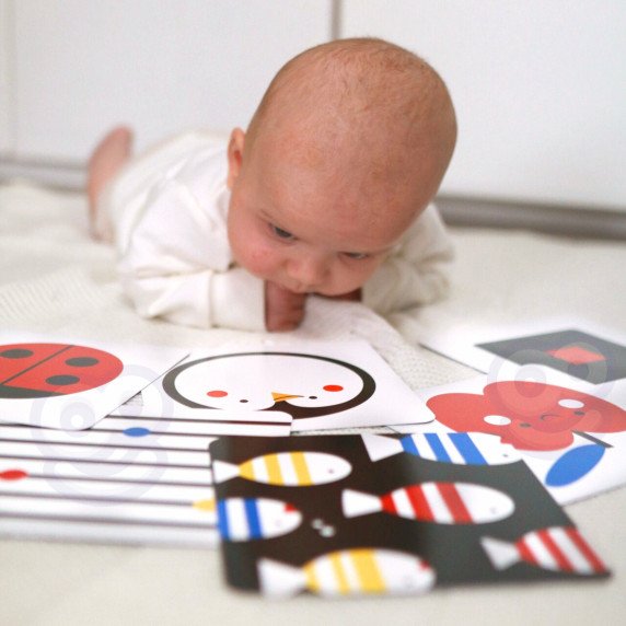 TOOKY TOY dėžutė XXL Montessori mokomoji dėžutė 7in1 jautriems pojūčiams 0-2 mėnesiai