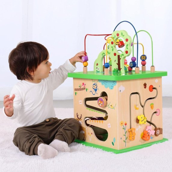 TOOKY TOY Edukacinis Kauliukų rūšiavimo labirintas Susipynęs 5-iš-1