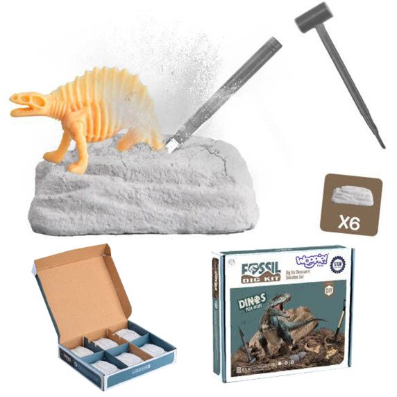 WOOPIE Kasinėjimas 6 viename dinozaurų skeletas Mažas archeologas 6 vnt.
