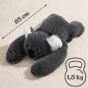 WOOPIE Koala anti-streso jutiklinis svorinis žaislas 65 cm 1500 g
