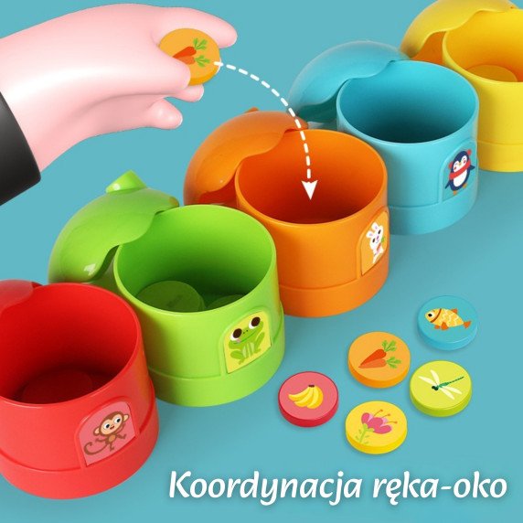 WOOPIE Edukacinė loginė žaidimo spalvų rūšiavimo klasifikacija.