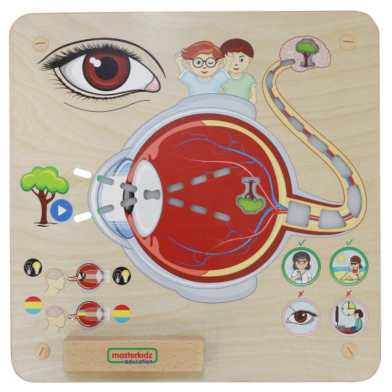 MASTERKIDZ Montessori regėjimo pažinimo lenta