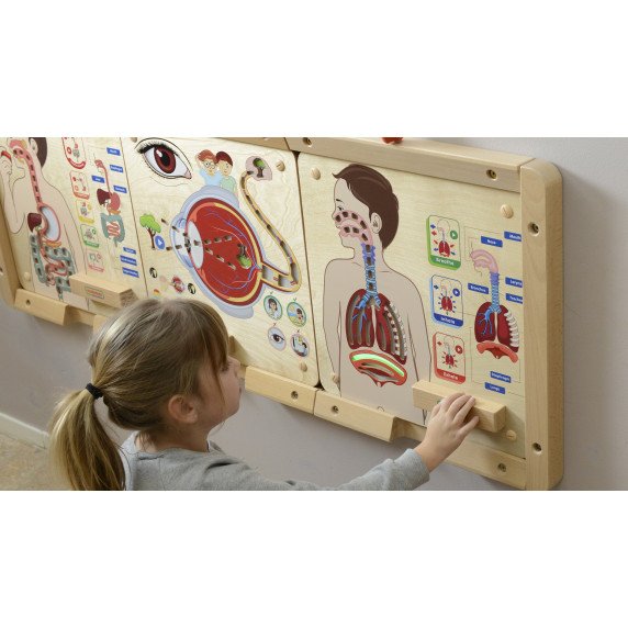 MASTERKIDZ Kvėpavimo sistemos pažinimo lenta
