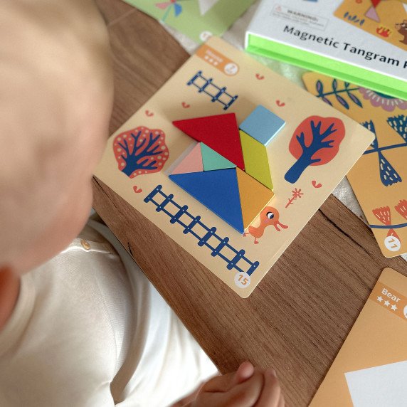 TOOKY TOY Tangram galvosūkis vaikams, mokantis figūrų formų formų 18 vnt.