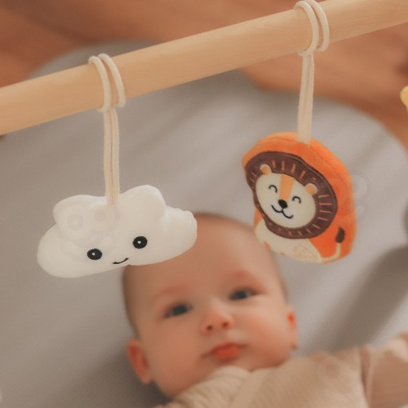 VIGA PolarB Kūdikio Gimnastikos Aparatas Infant Stand