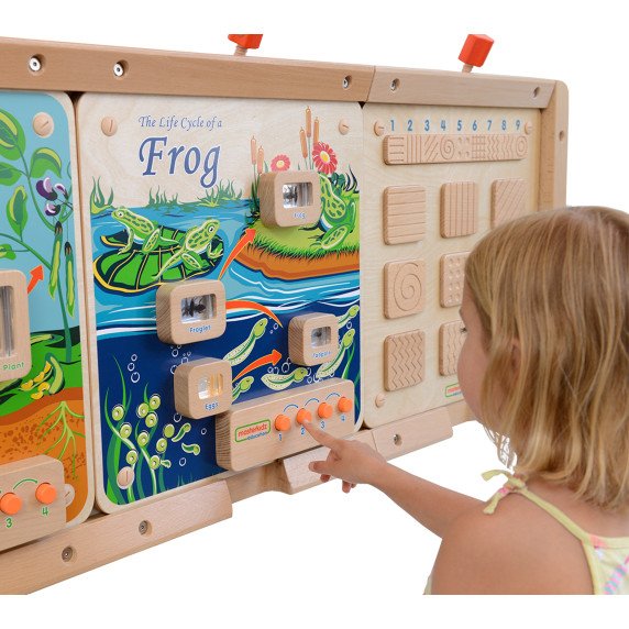 MASTERKIDZ Flex Montessori Sienos Lentos Gyvenimo ciklas su varlių
