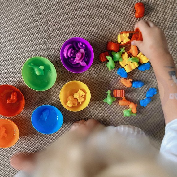 WOOPIE Montessori mokomasis žaidimas Spalvų rūšiavimas Gyvūnai 44 vnt.