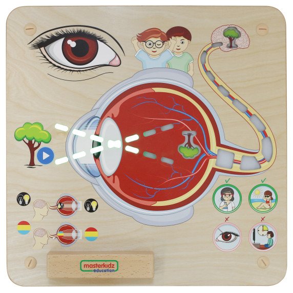 MASTERKIDZ Montessori regėjimo pažinimo lenta