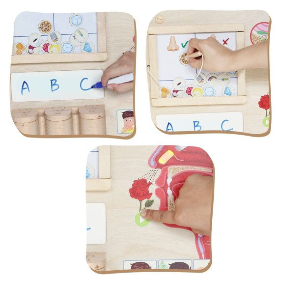 MASTERKIDZ Montessori uoslės - kvapų pažinimo lenta