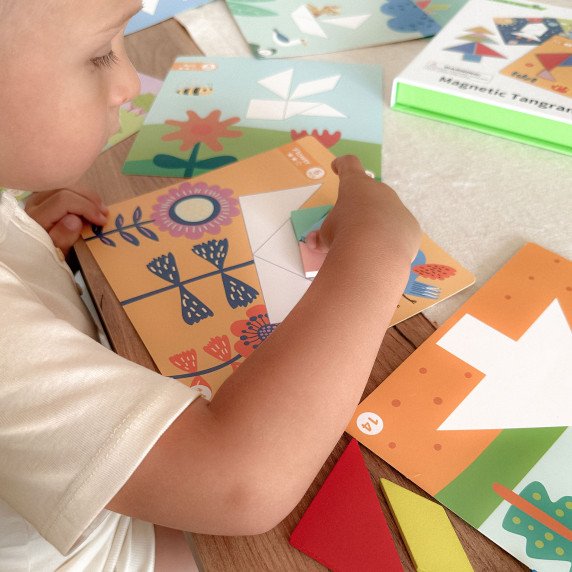 TOOKY TOY Tangram galvosūkis vaikams, mokantis figūrų formų formų 18 vnt.