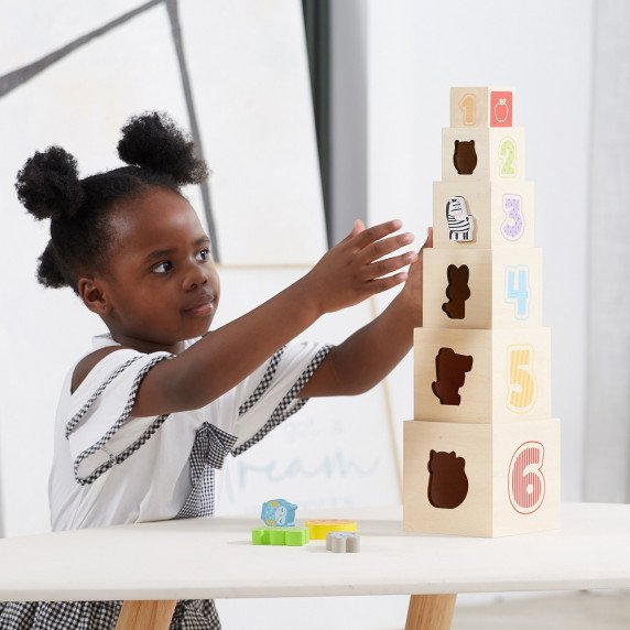 VIGA mediniai piramidės galvosūkio blokai rūšiuotojas Montessori