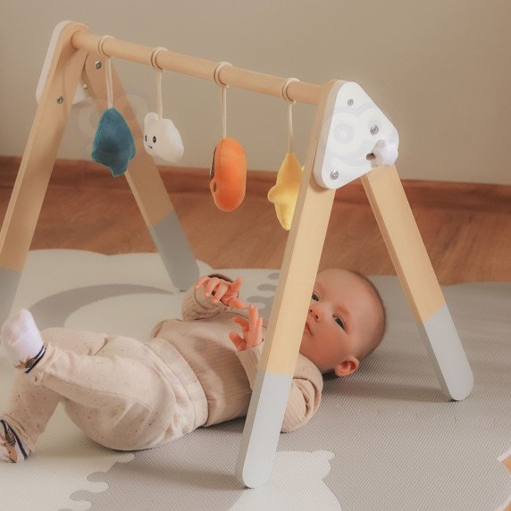 VIGA PolarB Kūdikio Gimnastikos Aparatas Infant Stand