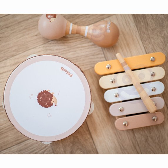 VIGA PolarB muzikos instrumentų rinkinys su erinija