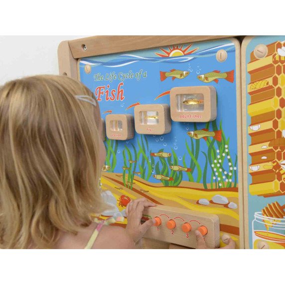 MASTERKIDZ Žuvų gyvenimo ciklo šviesos šviesos šviesos išsilavinimo lentelė