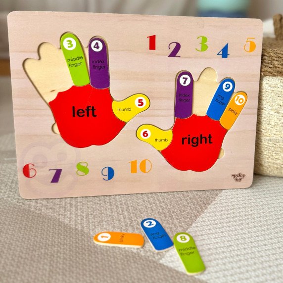TOOKY TOY Edukacinė medinė dėlionė Rankos lavinimas, skaičiavimas ir spalvos