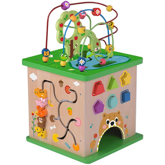 TOOKY TOY Edukacinis Kubas su Rūšiavimo Labyrintu ir Susipynusiais Gyvūnais