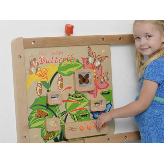 MASTERKIDZ Drugelių gyvenimo ciklo mokomasis sieninis skydelis