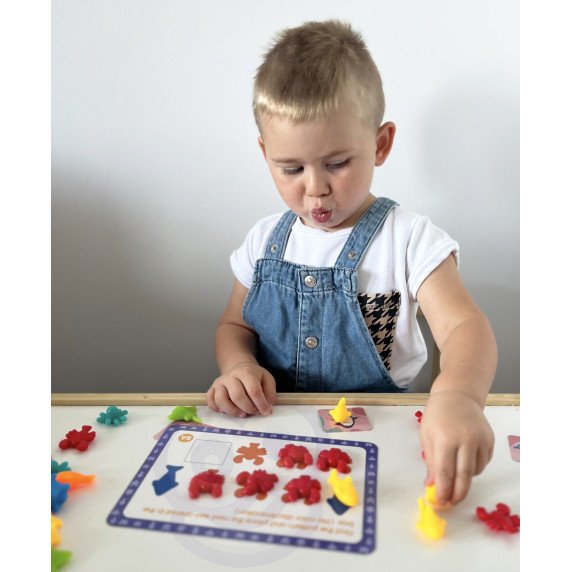 WOOPIE Montessori edukacinis rinkinys skaičiuoti mokymosi spalvų rūšiavimo jūroje ir žemėje 111 vnt.