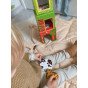 WOOPIE GREEN Ūkininkavimo dėžės kubas puzzle + figūrėlės 10 vnt.