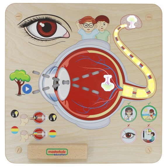 MASTERKIDZ Montessori regėjimo pažinimo lenta