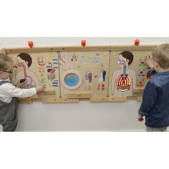 MASTERKIDZ Kvėpavimo sistemos pažinimo lenta