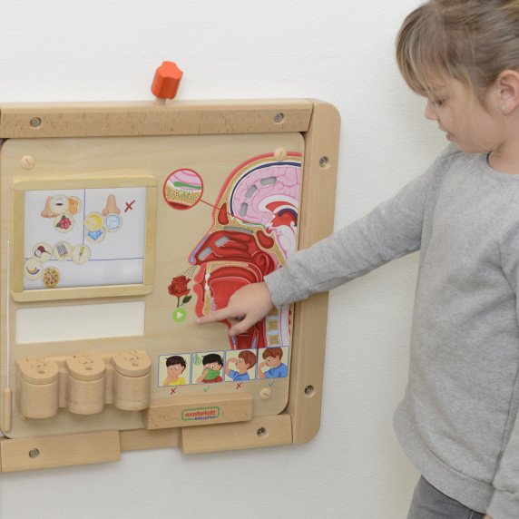 MASTERKIDZ Montessori uoslės - kvapų pažinimo lenta