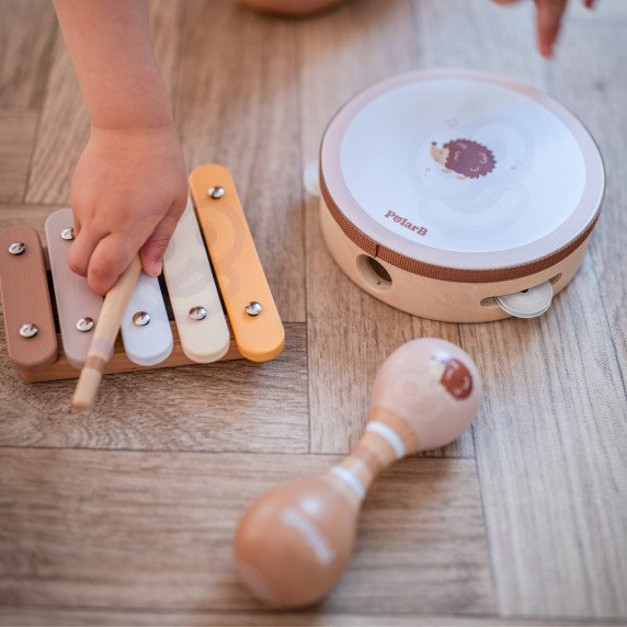 VIGA PolarB muzikos instrumentų rinkinys su erinija