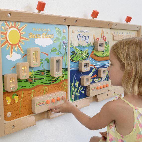 MASTERKIDZ Augalinio gyvenimo ciklo lankstus sieninis skydas