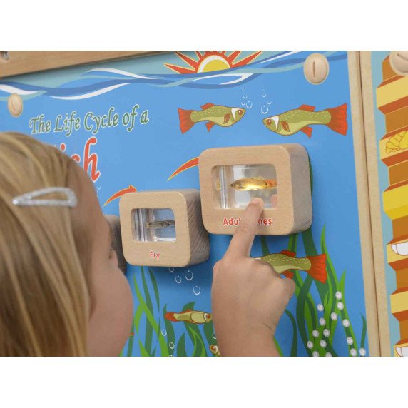 MASTERKIDZ Žuvų gyvenimo ciklo šviesos šviesos šviesos išsilavinimo lentelė