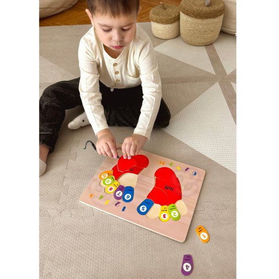 TOOKY TOY Edukacinė medinė kojų galvosilaužo mokymasis skaičiuojant ir spalvomis